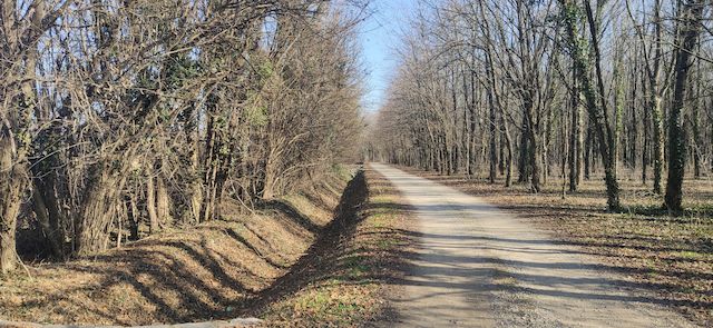 Percorso lungo nei Biotopi dei Prati della Piana di Beato Bertrando e Prati del Lavia