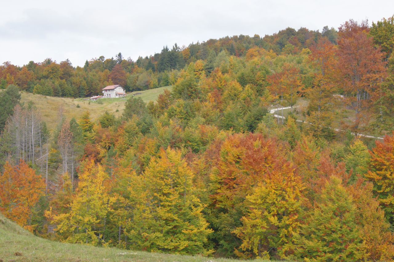 Anello del Pusti Gost
