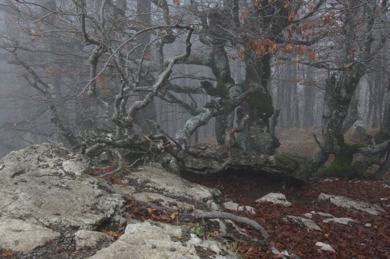 Anello monte Rossa e Taieit