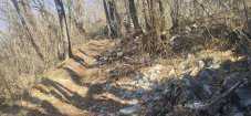 IMG_20220313_094400.jpg