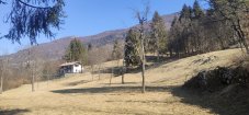IMG_20220313_094705.jpg