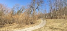 IMG_20220313_095437.jpg