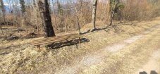 IMG_20220313_101316.jpg