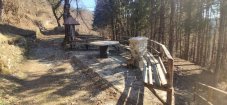 IMG_20220313_104744.jpg