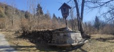IMG_20220313_105210.jpg