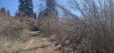 IMG_20220313_110046.jpg