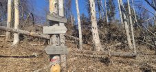 IMG_20220313_113944.jpg