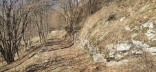 IMG_20220313_120504.jpg
