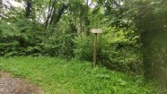 IMG_20230603_091848.jpg