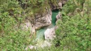 IMG_20230603_094904.jpg