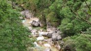 IMG_20230603_095534.jpg