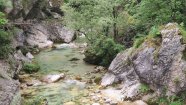 IMG_20230603_100340.jpg