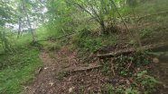 IMG_20230603_101728.jpg
