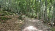 IMG_20230603_132855.jpg