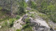 IMG_20230603_141410.jpg