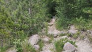 IMG_20230603_144009.jpg
