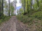 IMG_20240505_114303.jpg