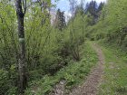 IMG_20240505_114513.jpg