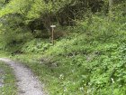 IMG_20240505_121738.jpg
