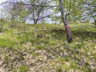 IMG_20240505_130514.jpg