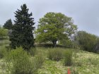 IMG_20240505_131246.jpg