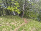 IMG_20240505_132917.jpg