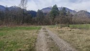 IMG_20230401_103737.jpg