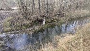 IMG_20230401_104406.jpg