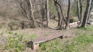 IMG_20230401_105309.jpg