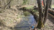 IMG_20230401_105319.jpg