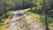 IMG_20250406_105830.jpg