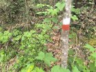 IMG_20260419_133630.jpg