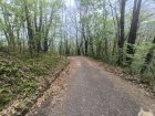 IMG_20260419_135344.jpg