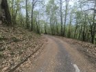 IMG_20260419_135407.jpg