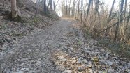 img20230312161021.jpg