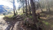 IMG_20230416_091853.jpg