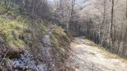 IMG_20230416_094216.jpg