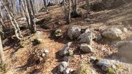 IMG_20230416_100901.jpg