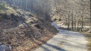 IMG_20230416_101238.jpg