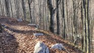 IMG_20230416_101926.jpg