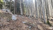 IMG_20230416_101941.jpg