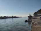 P20220115_095351.jpg