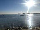 P20220115_100422.jpg