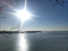P20220115_100816.jpg