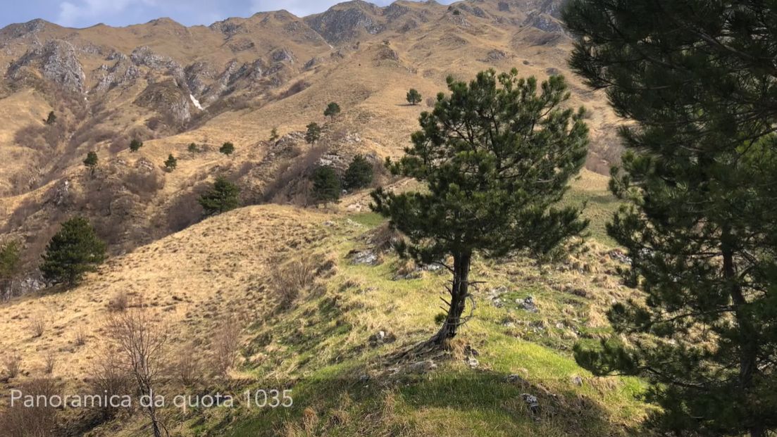 Video Anello P.ta Lausciovizza e P.ta Montemaggiore da Cornappo