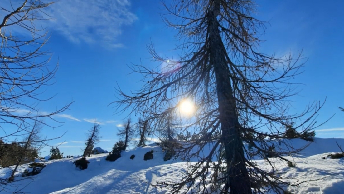 Video Monte Tersadia   escursioni 2022
