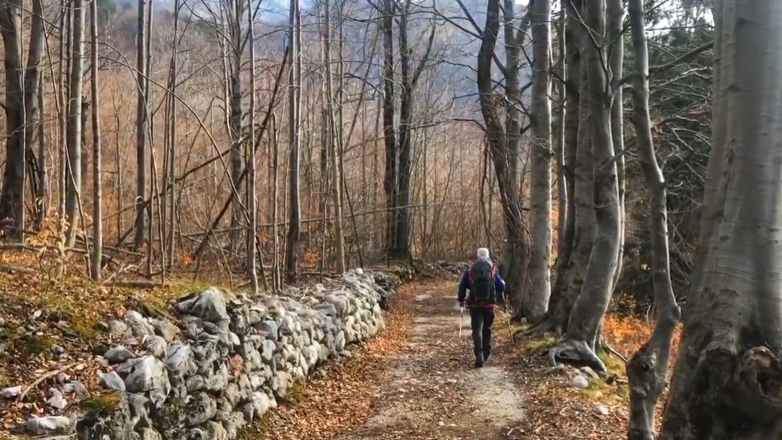 Video Monte Cjadin (gruppo montuoso dei Musi)