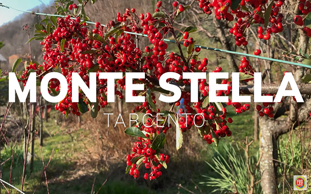 Video Monte Stella