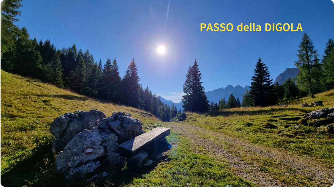 Video Terza Media